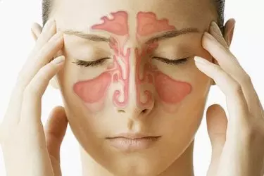best hospital for Endoscopic Sinus surgery, best ENT doctor for Sinus Problem, cost of Sinus surgery, Dr Manika Saluja Parekh, Best ENT Surgeon, Jiva Hospital mohali chandigarh punjab india